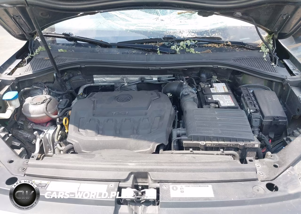 2019 Volkswagen Tiguan 2.0T Sel Premium-2.0T Sel Premium R-Line VIN:3VV4B7AX5KM072930 - 10