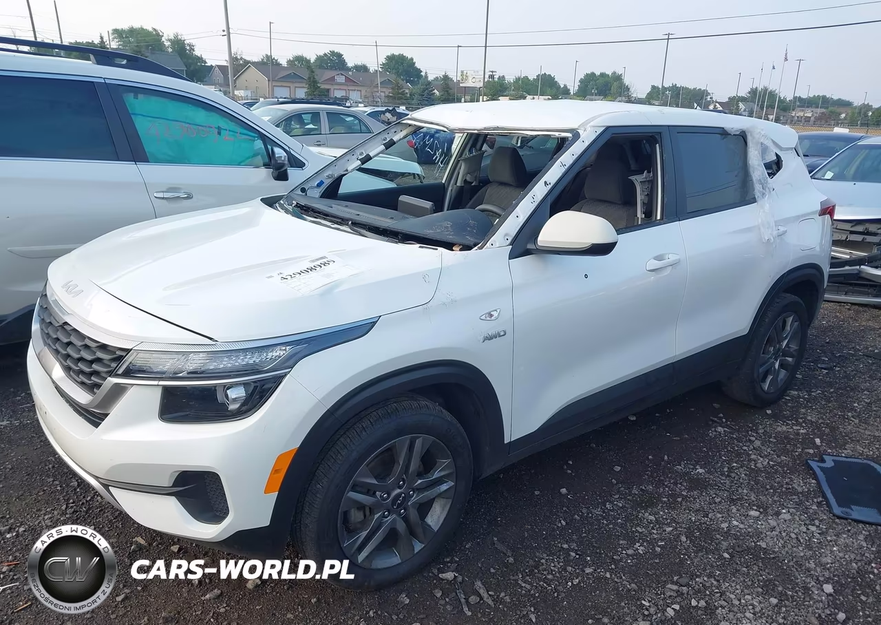 2023 Kia Seltos Lx VIN:KNDEPCAA9P7348343 - 2
