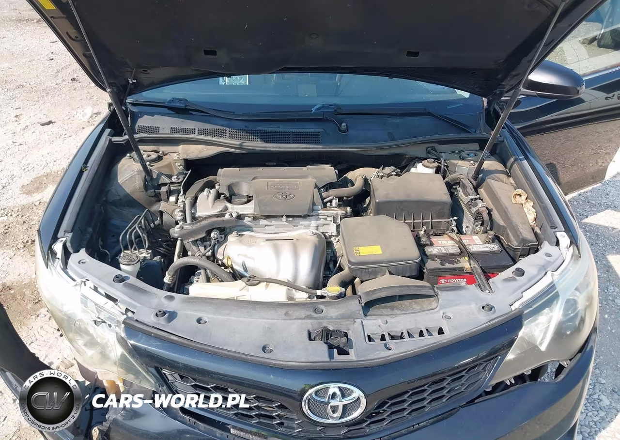 2014 Toyota Camry Se Sport VIN:4T1BF1FK1EU317321 - 10
