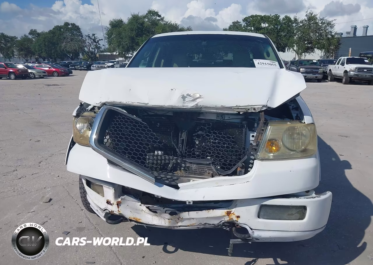 2004 Ford F-150 Fx4-Lariat-Xlt VIN:1FTPW14524KD33092 - 6