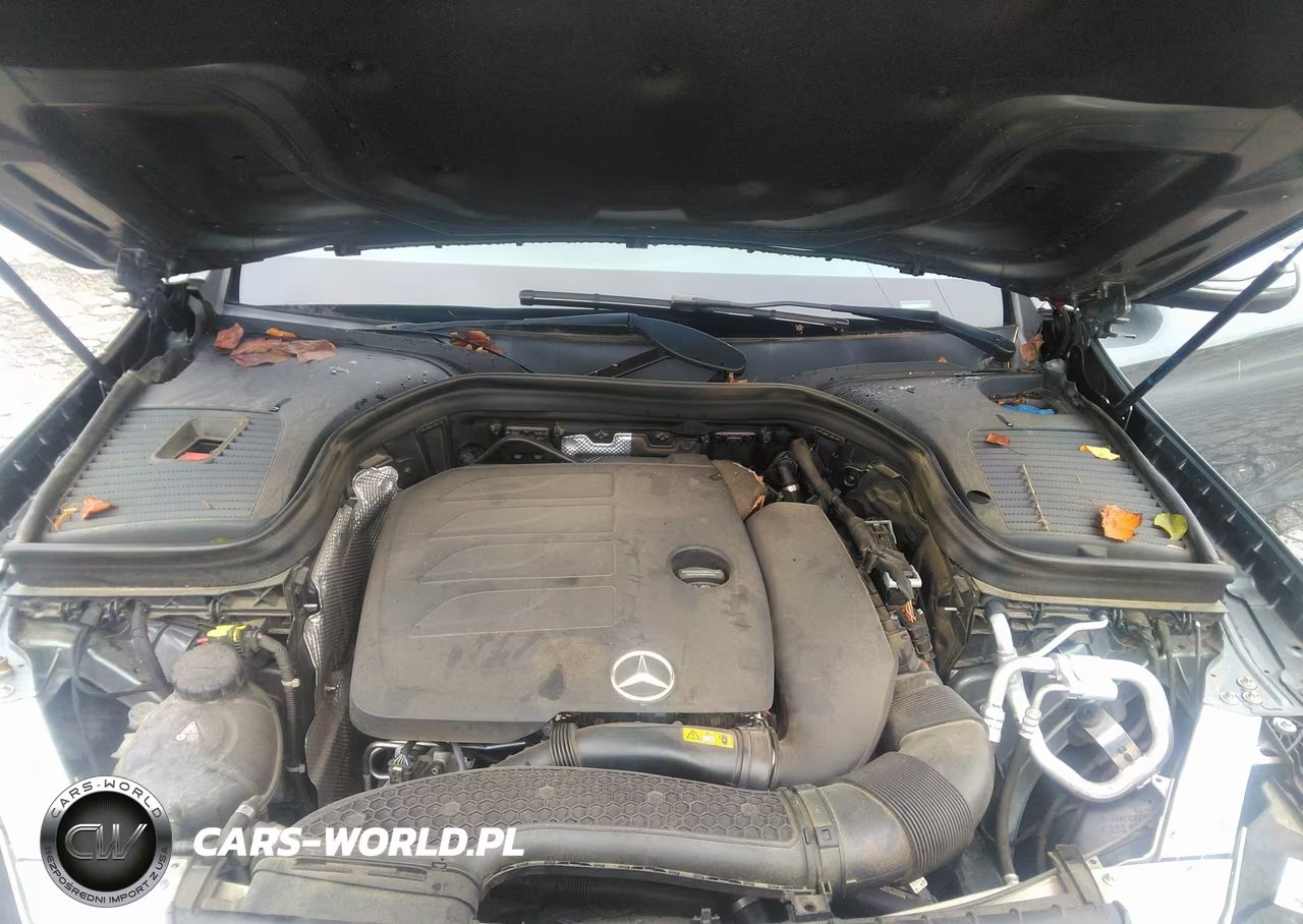 2020 Mercedes-Benz Glc 300 VIN:W1N0G8DB2LV262561 - 10