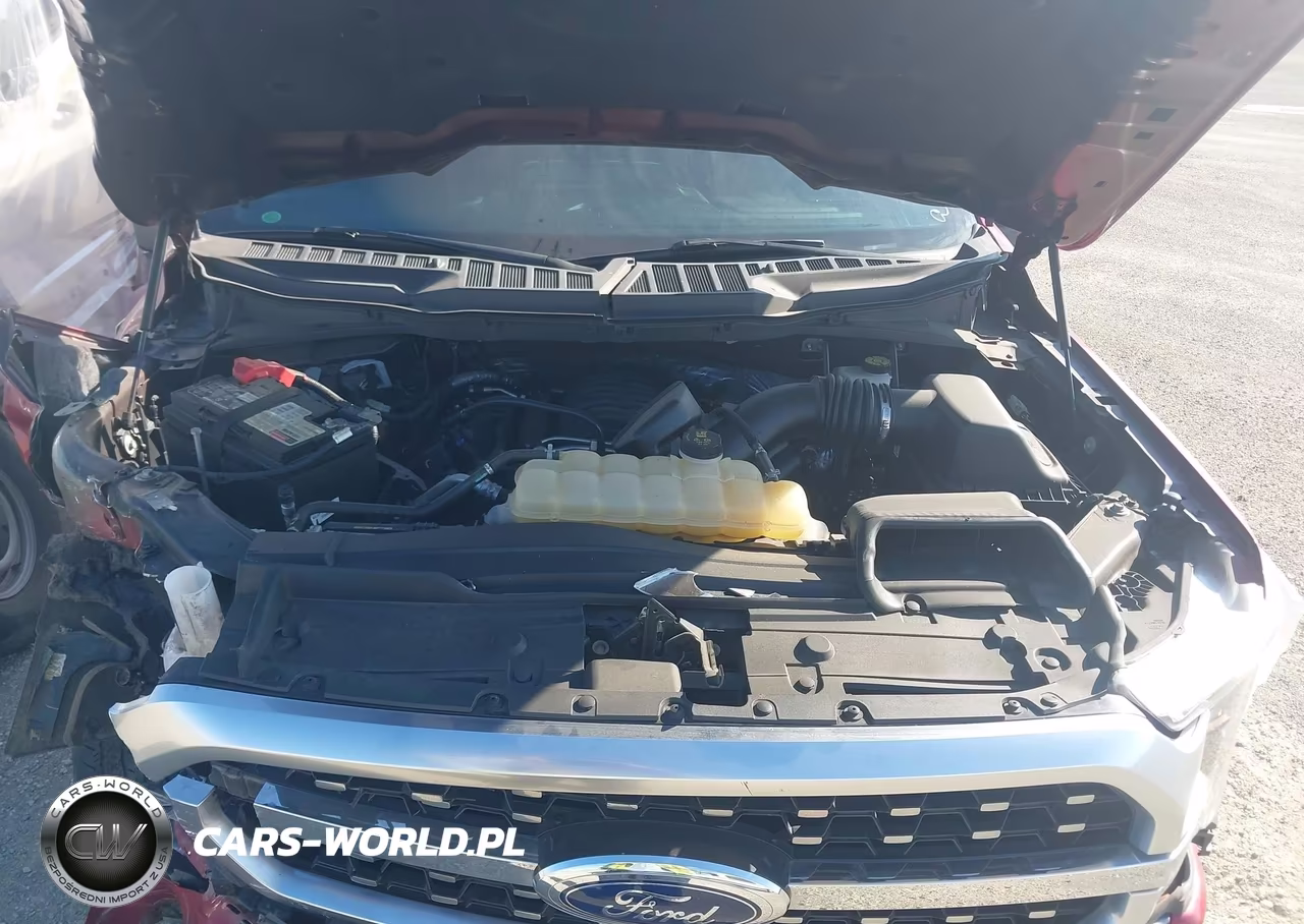 2021 Ford F-150 Platinum VIN:1FTFW1E55MFA85939 - 10