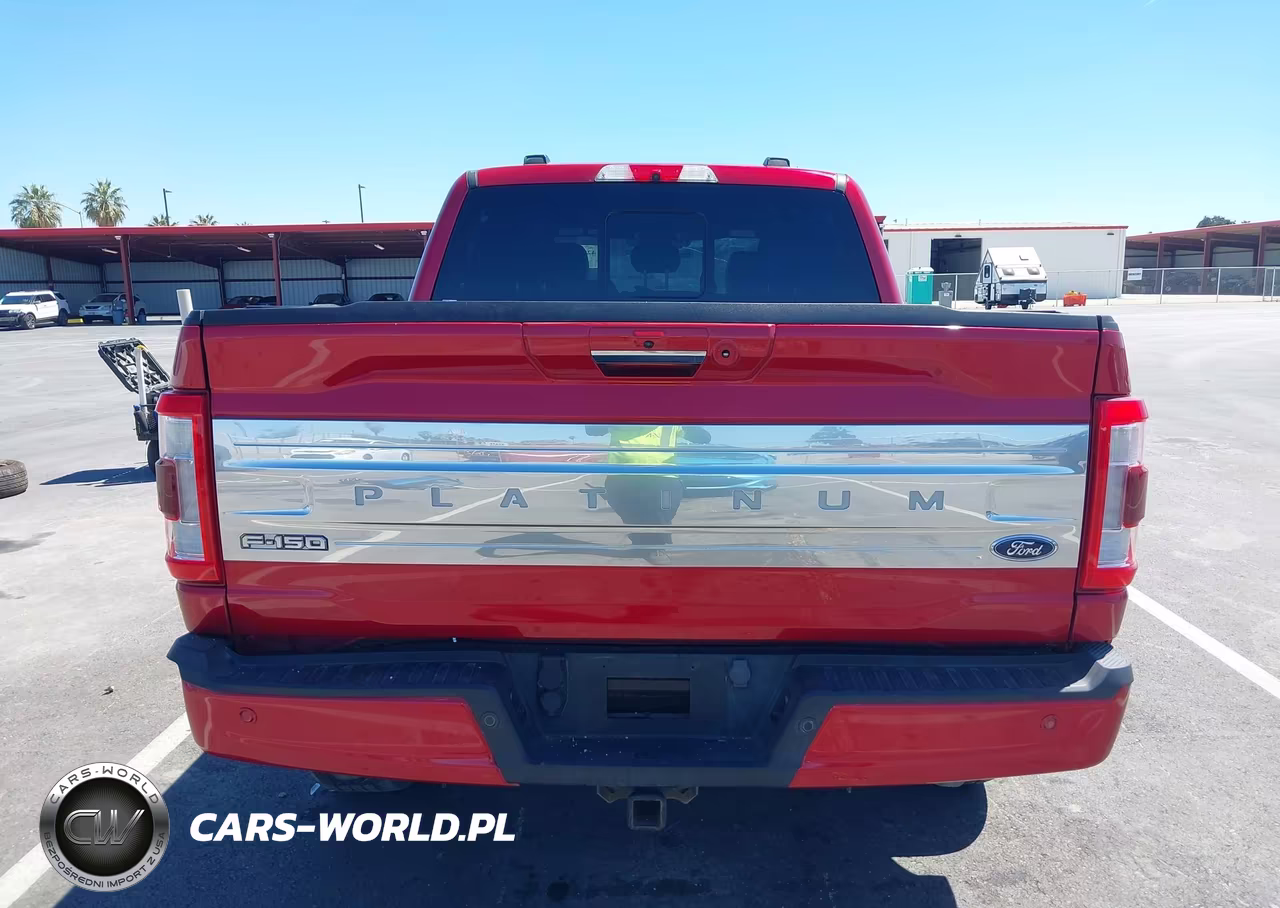 2021 Ford F-150 Platinum VIN:1FTFW1E55MFA85939 - 17