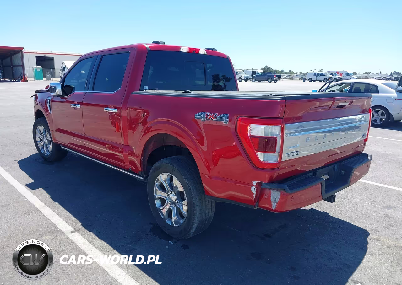 2021 Ford F-150 Platinum VIN:1FTFW1E55MFA85939 - 3