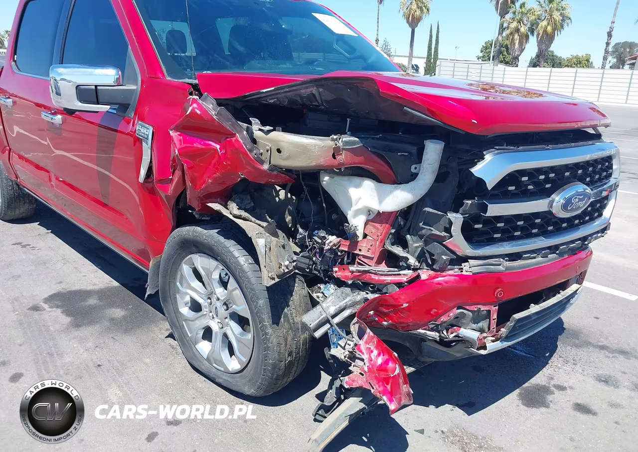 2021 Ford F-150 Platinum VIN:1FTFW1E55MFA85939 - 6