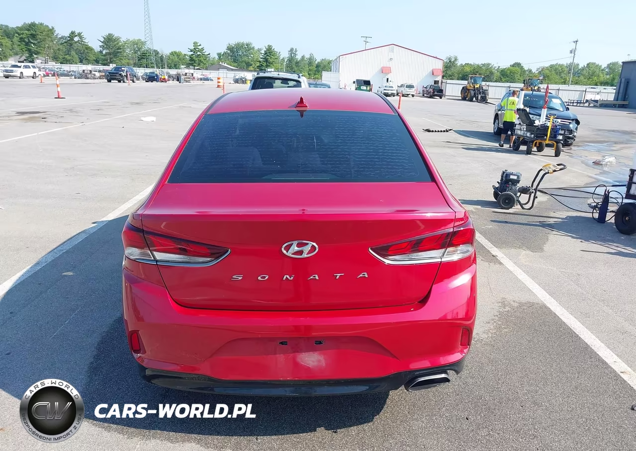 2019 Hyundai Sonata Sel VIN:5NPE34AF4KH776614 - 17