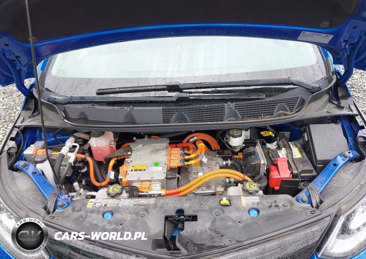 2019 Chevrolet Bolt Ev Premier VIN:1G1FZ6S05K4113656 - 10