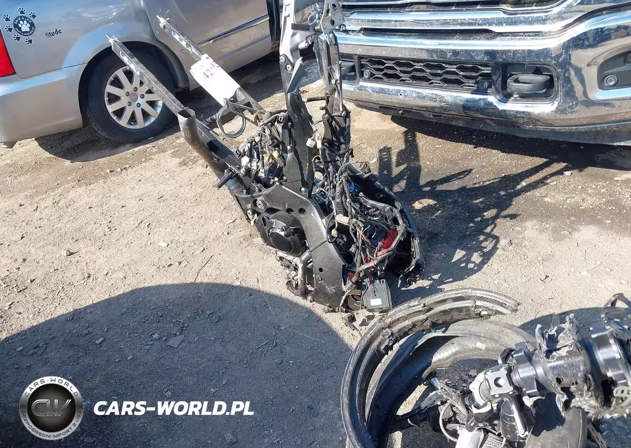 2019 Kawasaki Zx1002