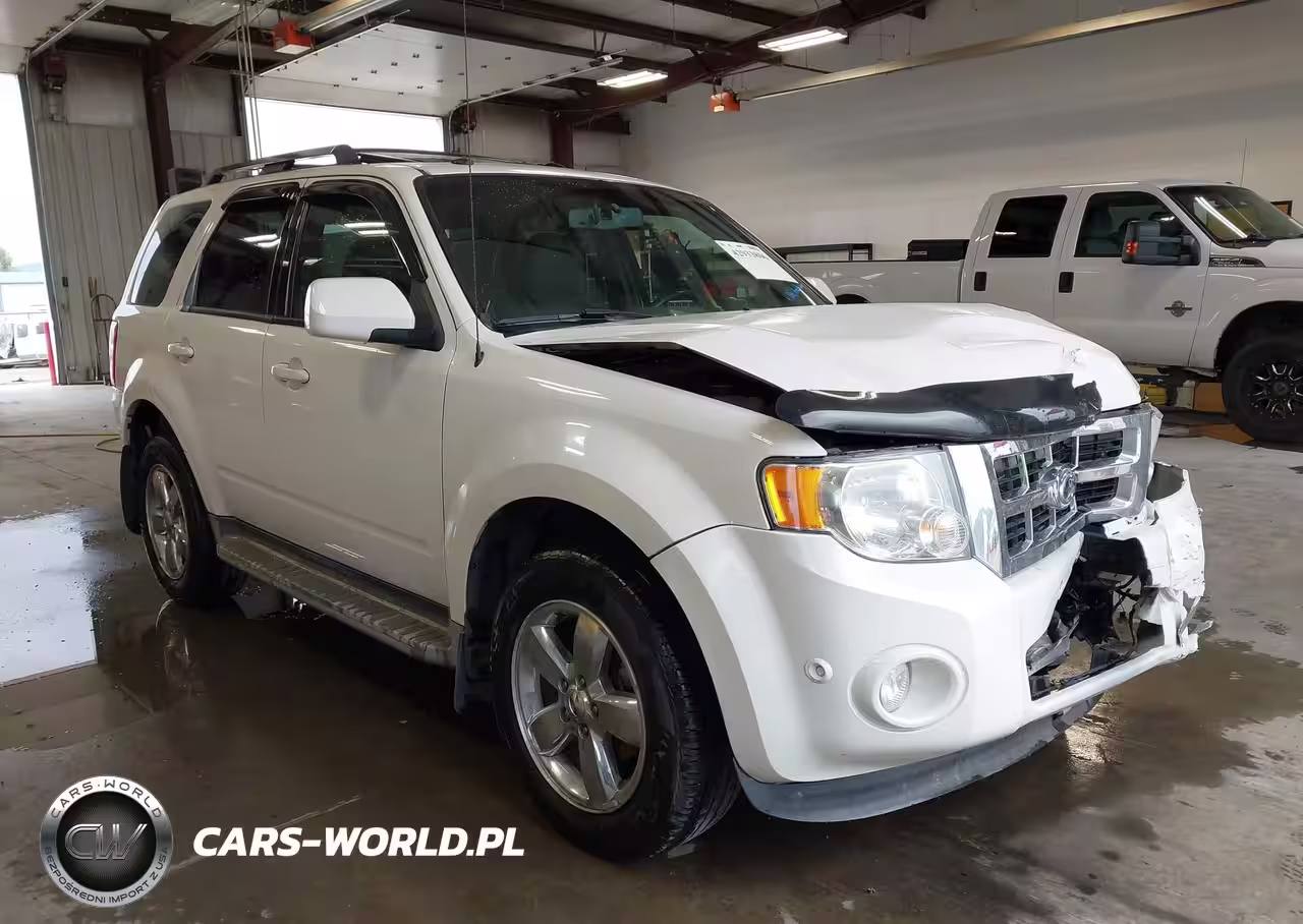 2010 Ford Escape Limited