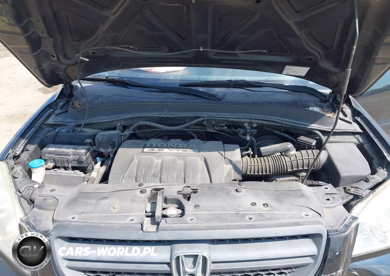 2005 Honda Pilot Ex-L VIN:5FNYF18625B019979 - 10
