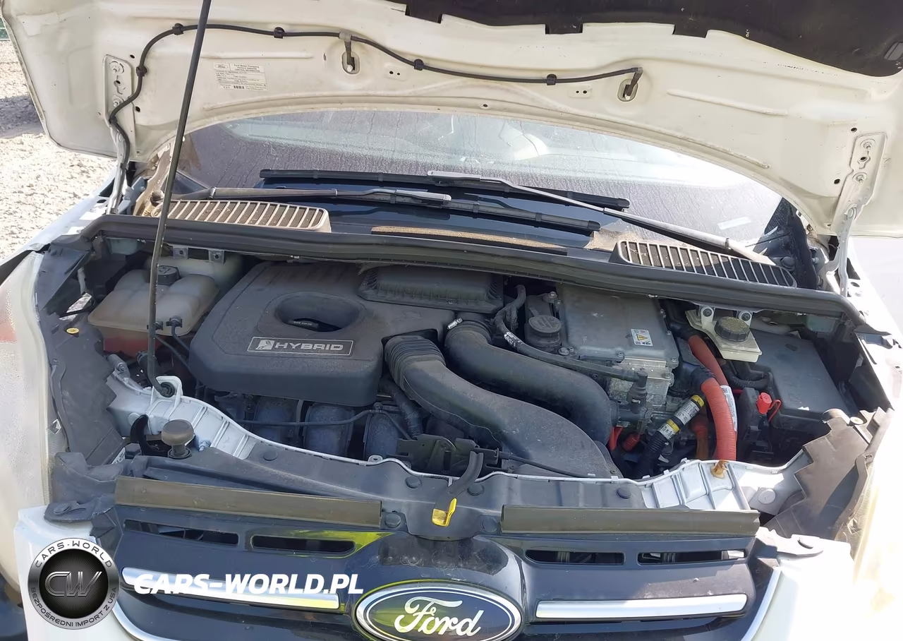 2013 Ford C-Max Hybrid Se VIN:1FADP5AU0DL527753 - 10