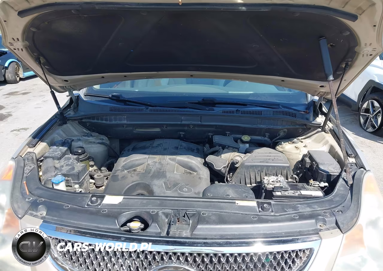 2008 Hyundai Veracruz Gls-Limited-Se VIN:KM8NU73C38U050397 - 10