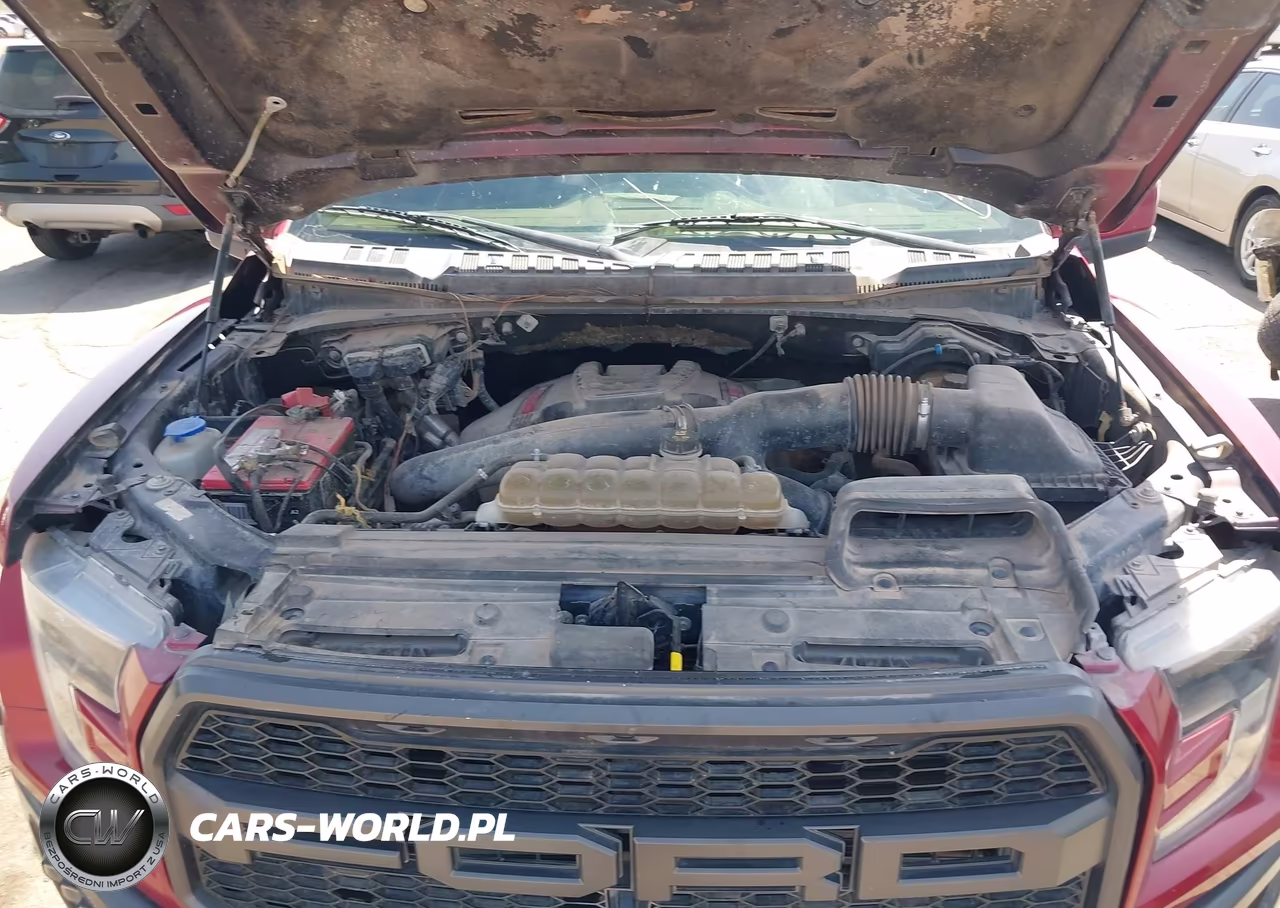 2019 Ford F-150 Raptor VIN:1FTFW1RG3KFA75967 - 10