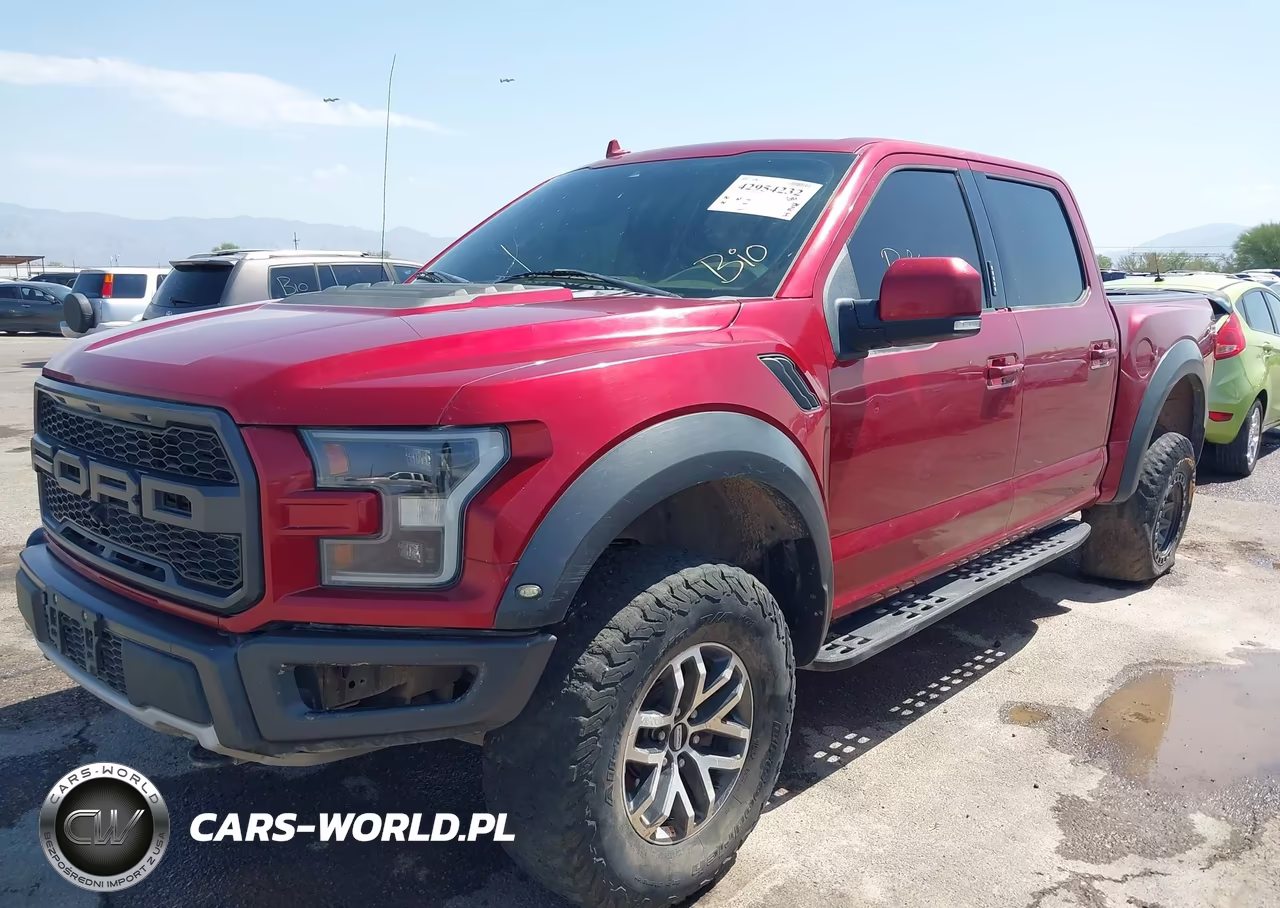 2019 Ford F-150 Raptor VIN:1FTFW1RG3KFA75967 - 2
