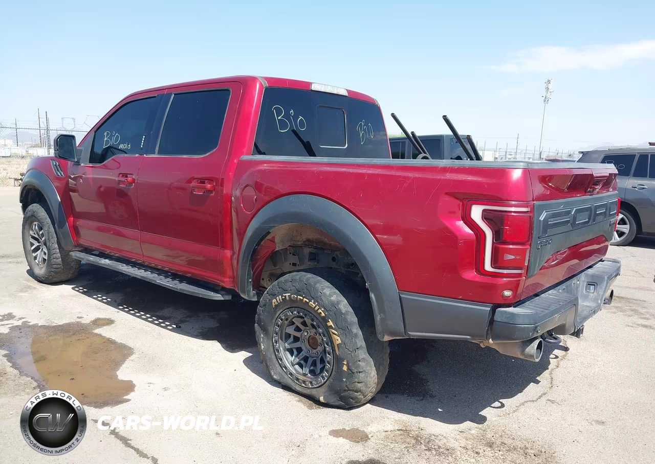 2019 Ford F-150 Raptor VIN:1FTFW1RG3KFA75967 - 3