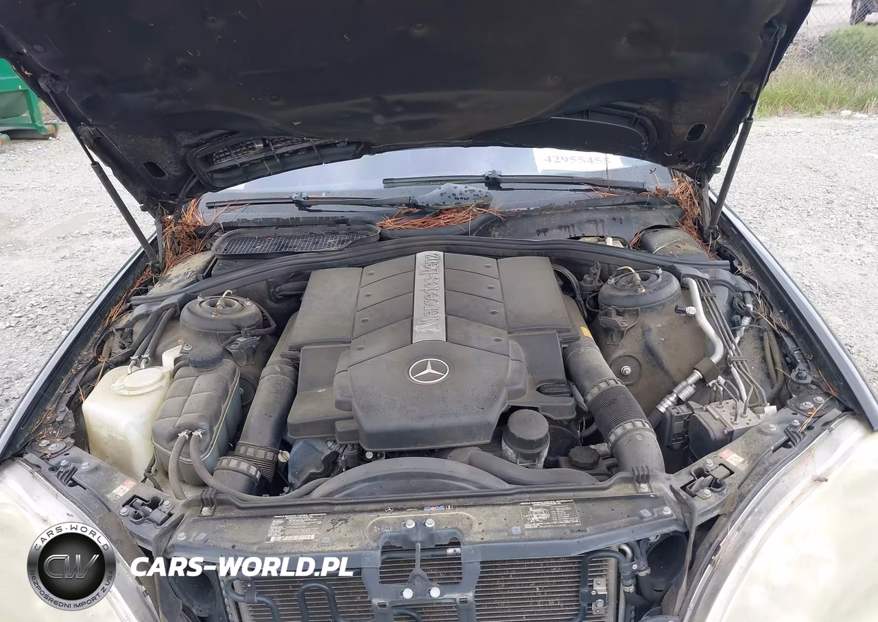 2003 Mercedes-Benz S 500 VIN:WDBNG75J43A366939 - 10