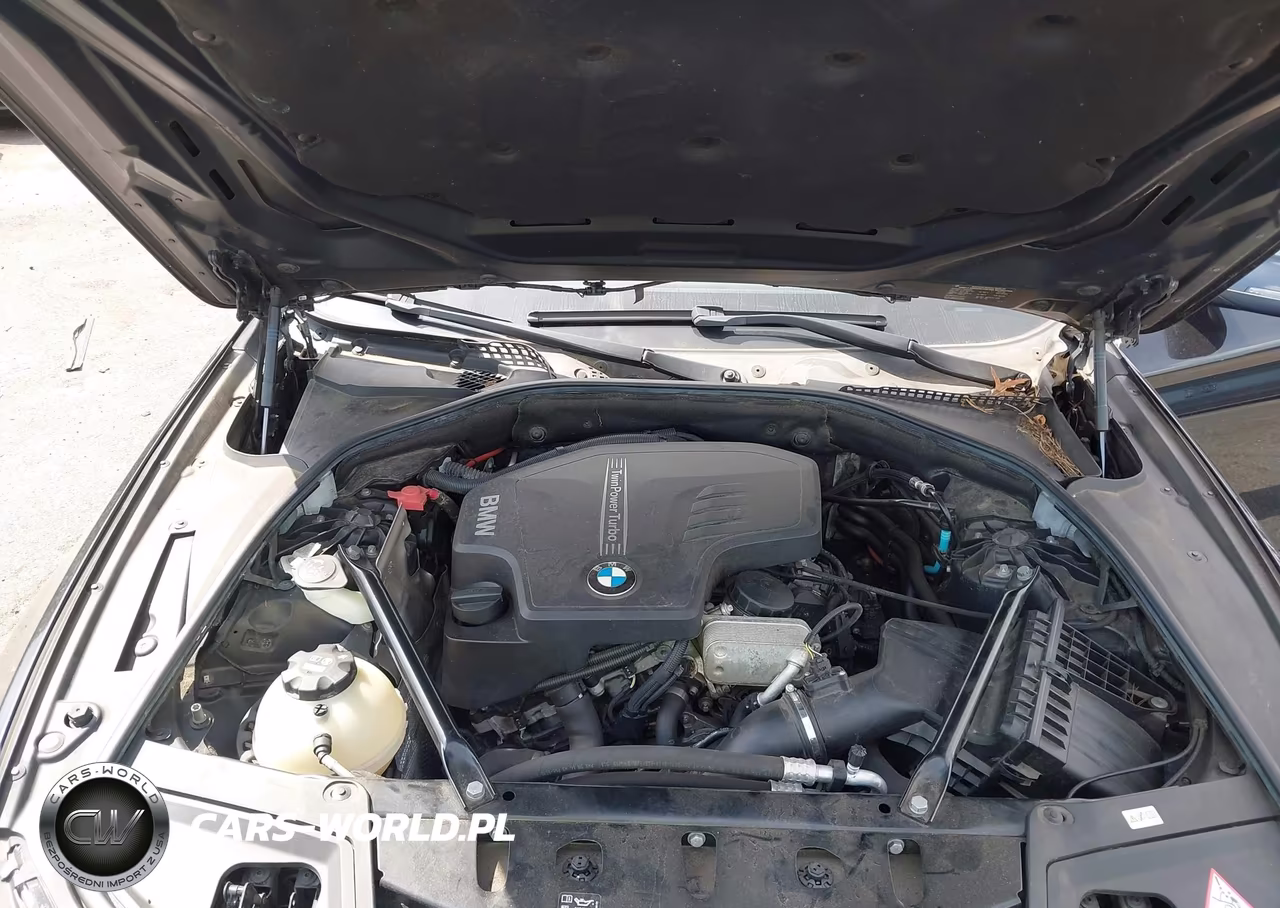 2016 BMW 528I xDrive VIN:WBA5A7C58GG149919 - 10
