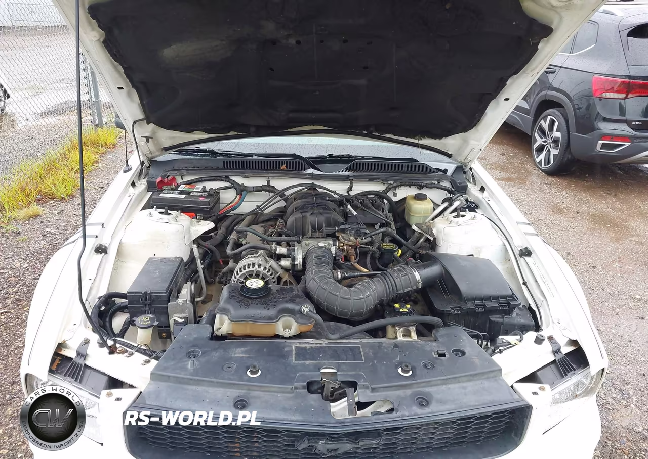 2006 Ford Mustang V6 VIN:1ZVFT84N465184809 - 10