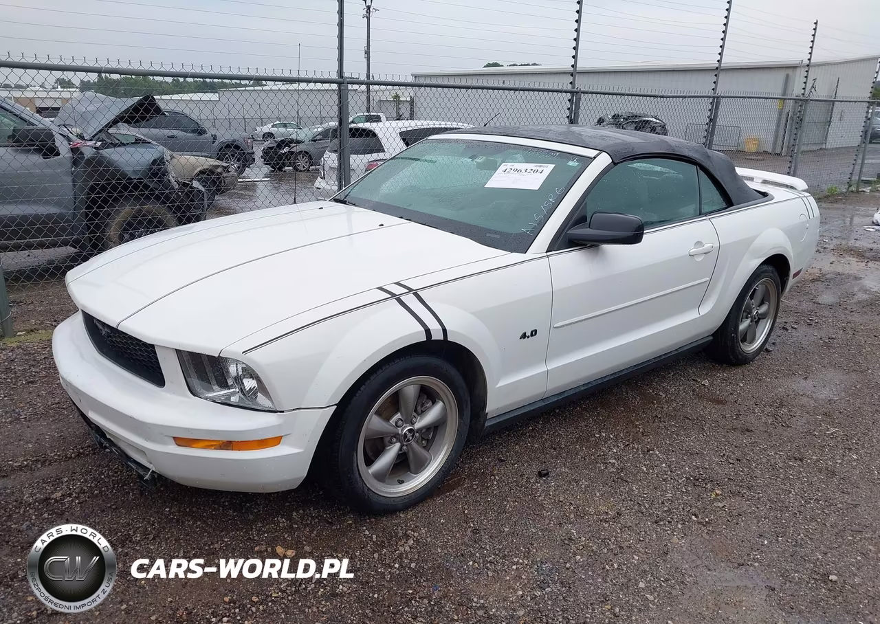 2006 Ford Mustang V6 VIN:1ZVFT84N465184809 - 2