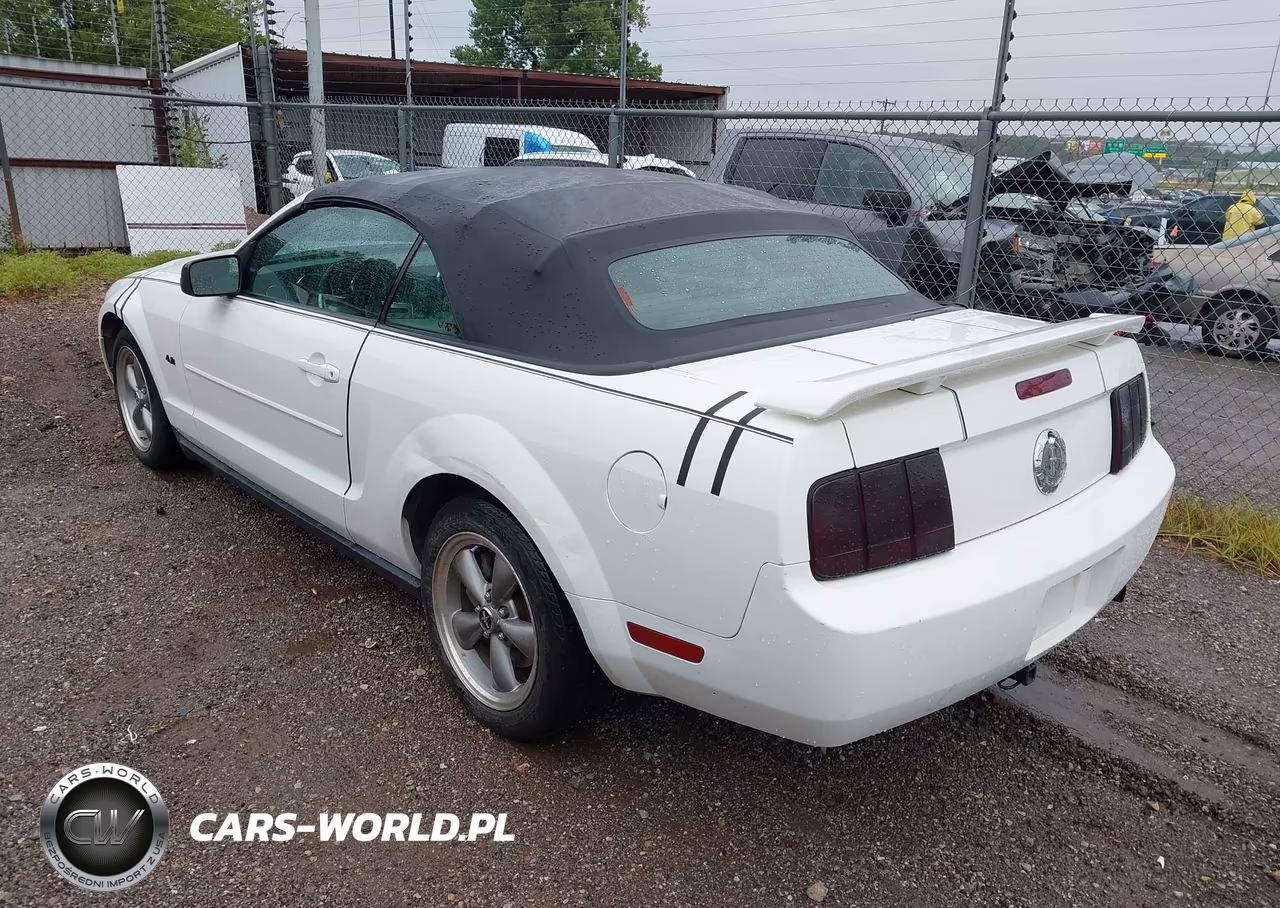 2006 Ford Mustang V6 VIN:1ZVFT84N465184809 - 3