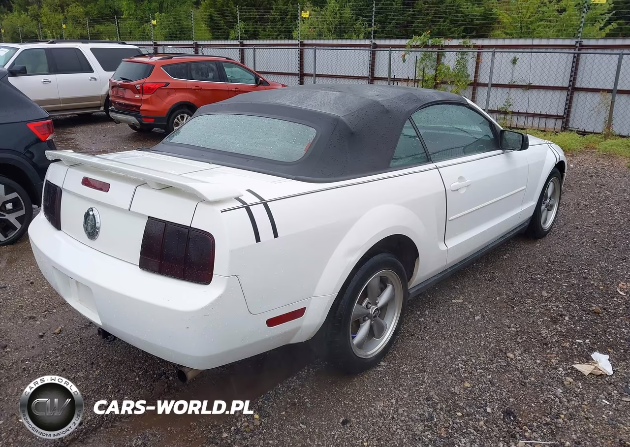 2006 Ford Mustang V6 VIN:1ZVFT84N465184809 - 4
