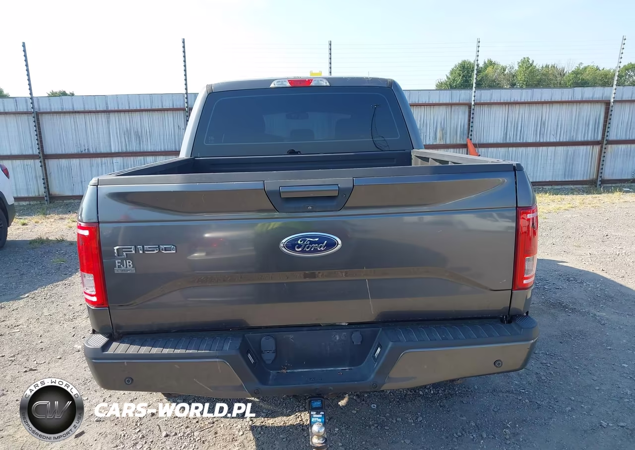 2016 Ford F-150 Xlt VIN:1FTEW1EG2GKF67616 - 16