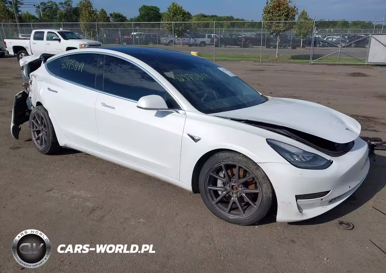 TESLA