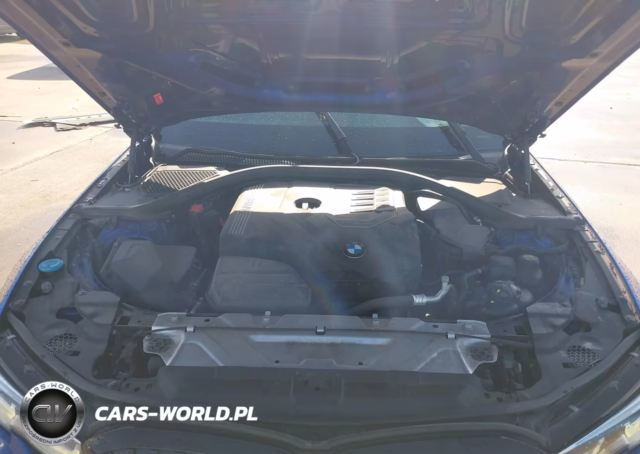 2020 BMW 330I VIN:3MW5R1J02L8B05307 - 10