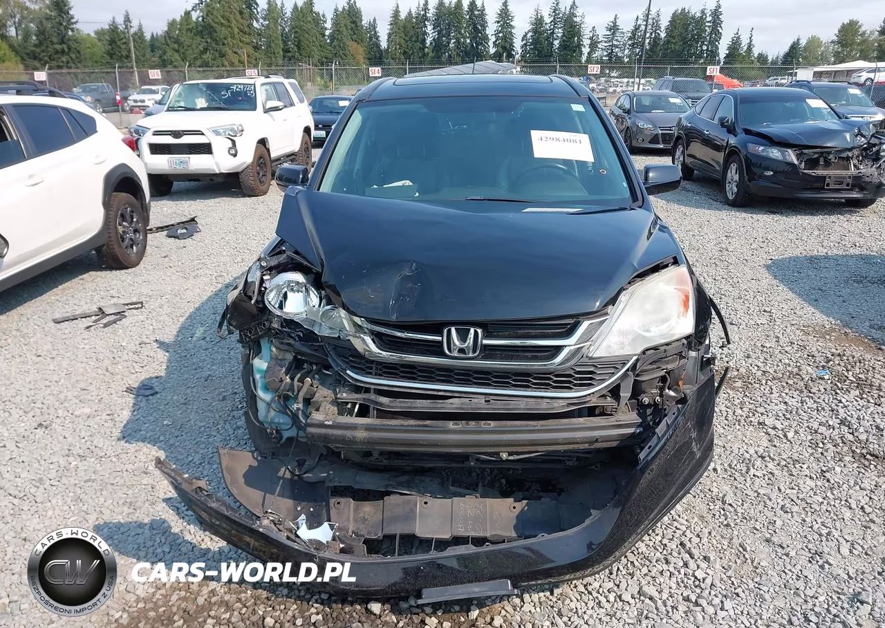 2010 Honda Cr-V Ex-L VIN:5J6RE4H75AL050338 - 12