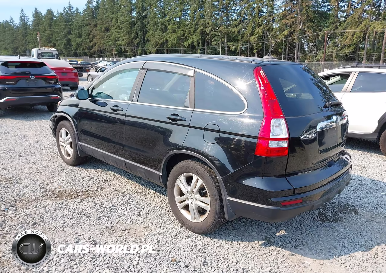 2010 Honda Cr-V Ex-L VIN:5J6RE4H75AL050338 - 3