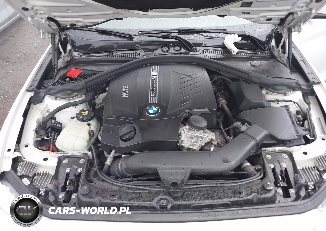 2016 BMW M235I VIN:WBA1J7C50GV359814 - 10