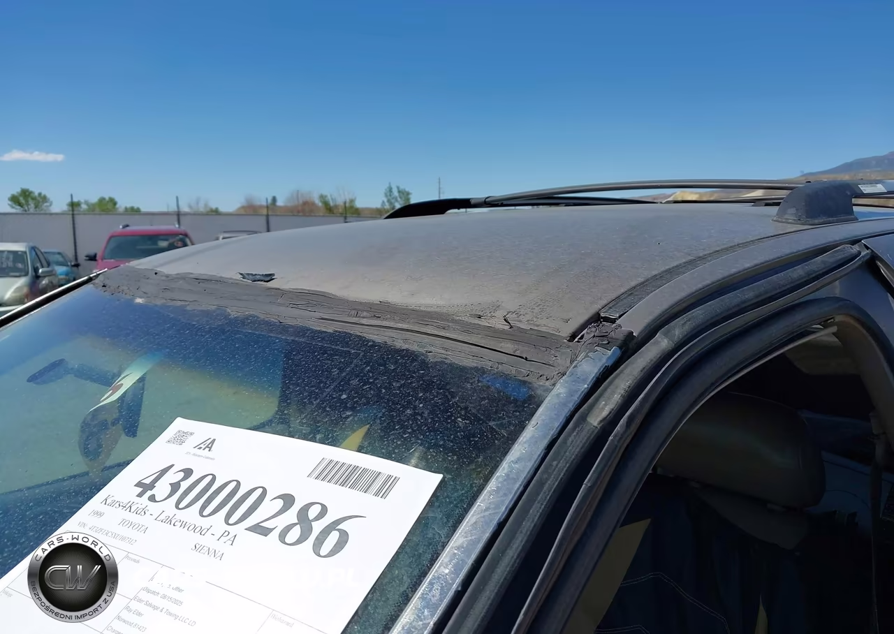 1999 Toyota Sienna Xle VIN:4T3ZF13C5XU107312 - 6