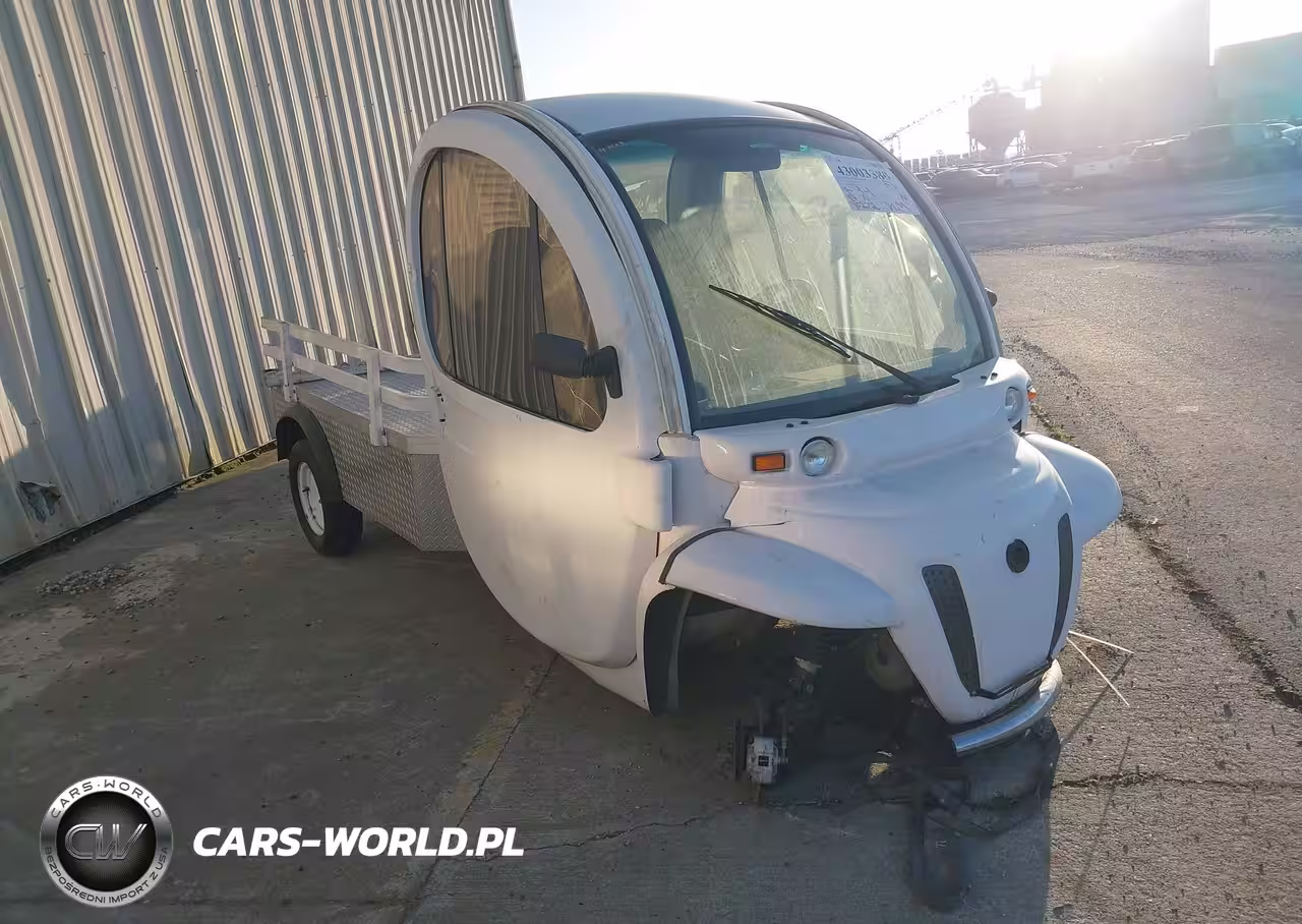 2009 Global Electric Motors El