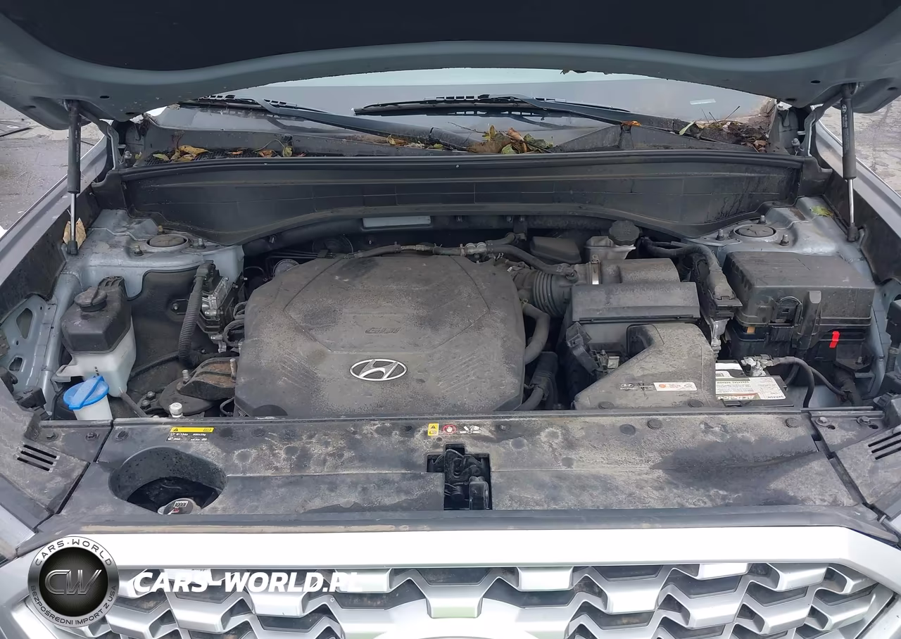 2020 Hyundai Palisade Se VIN:KM8R1DHE7LU054223 - 10