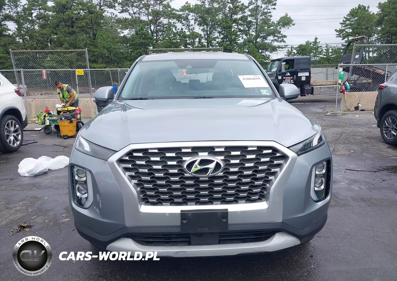 2020 Hyundai Palisade Se VIN:KM8R1DHE7LU054223 - 12