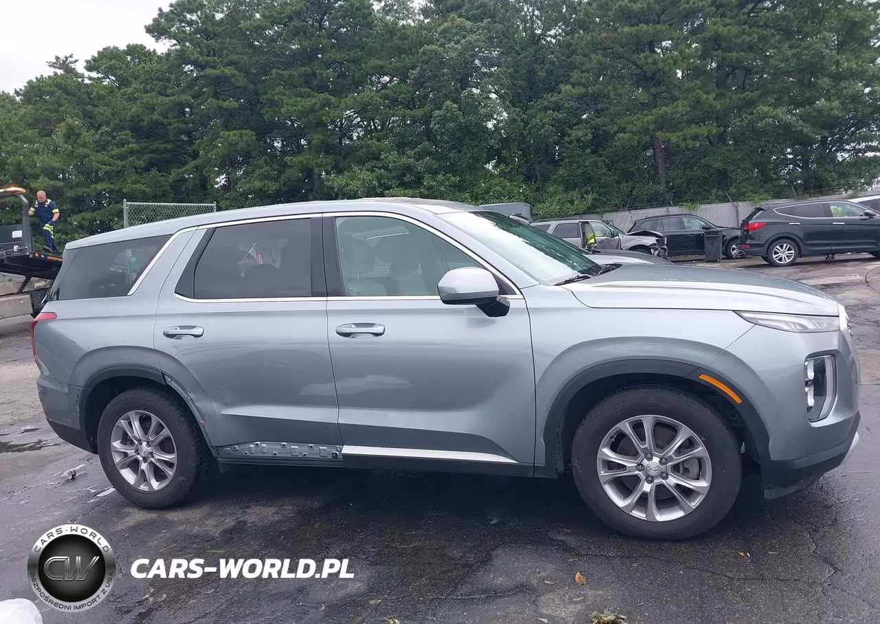 2020 Hyundai Palisade Se VIN:KM8R1DHE7LU054223 - 13
