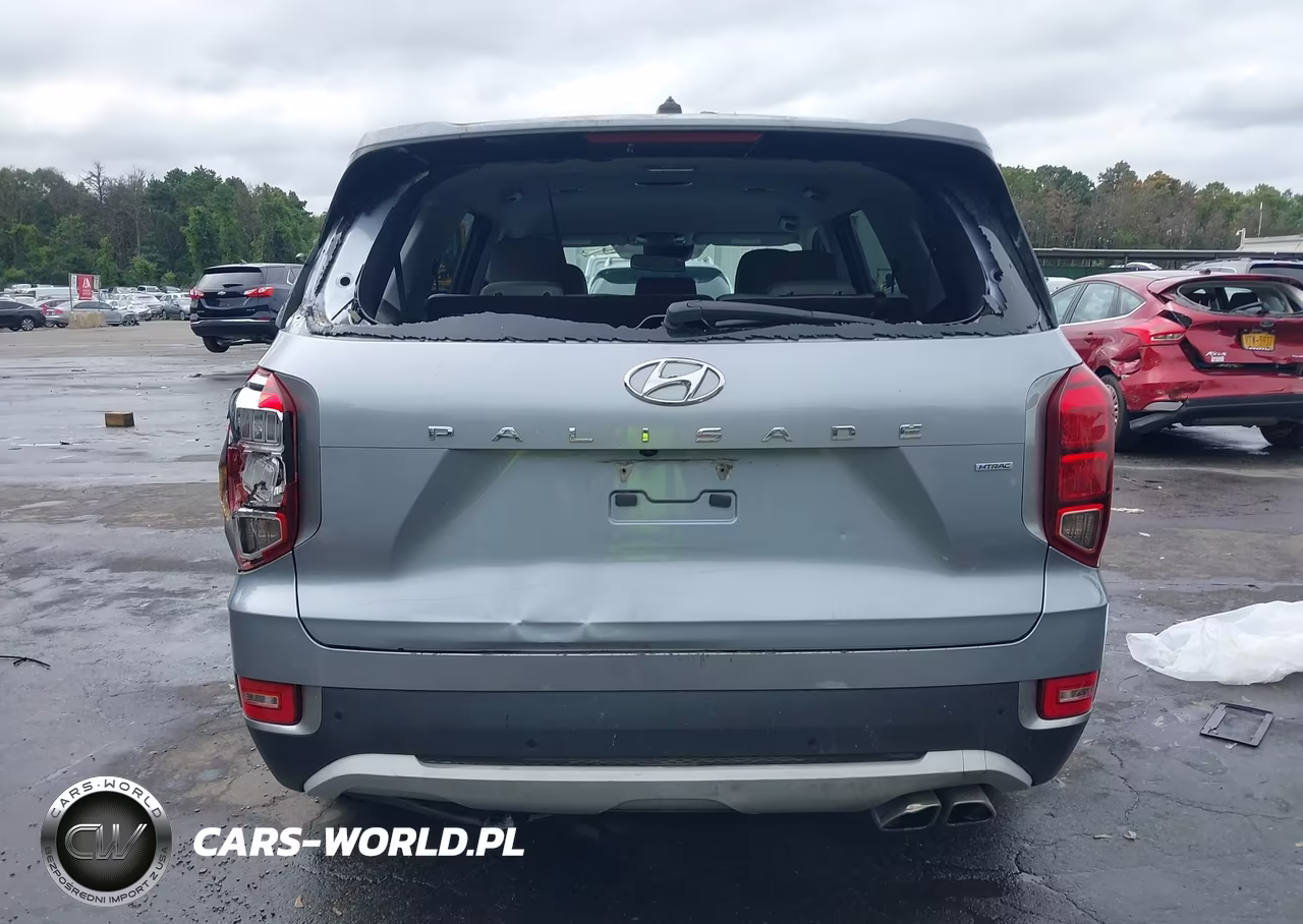 2020 Hyundai Palisade Se VIN:KM8R1DHE7LU054223 - 16