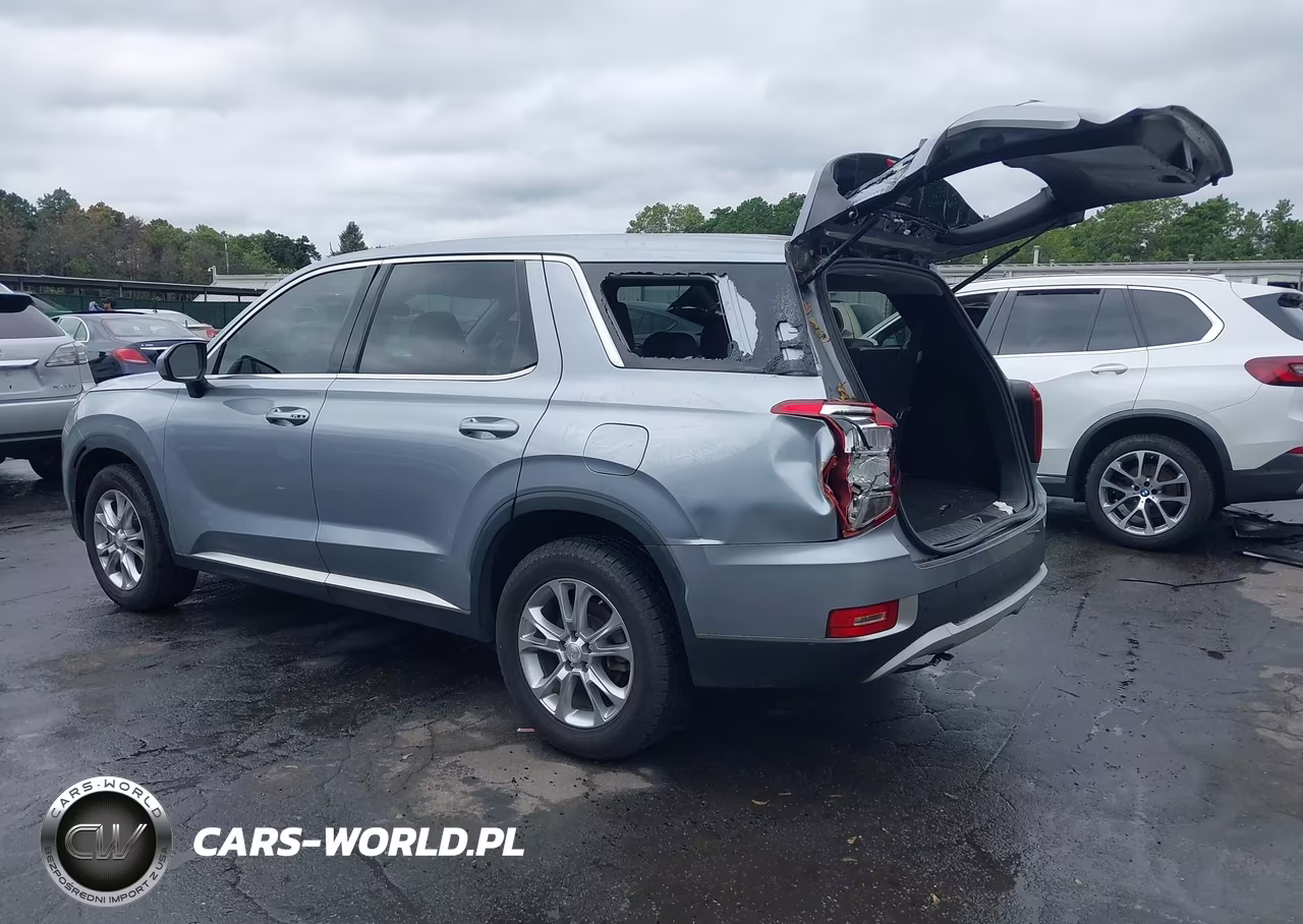 2020 Hyundai Palisade Se VIN:KM8R1DHE7LU054223 - 3