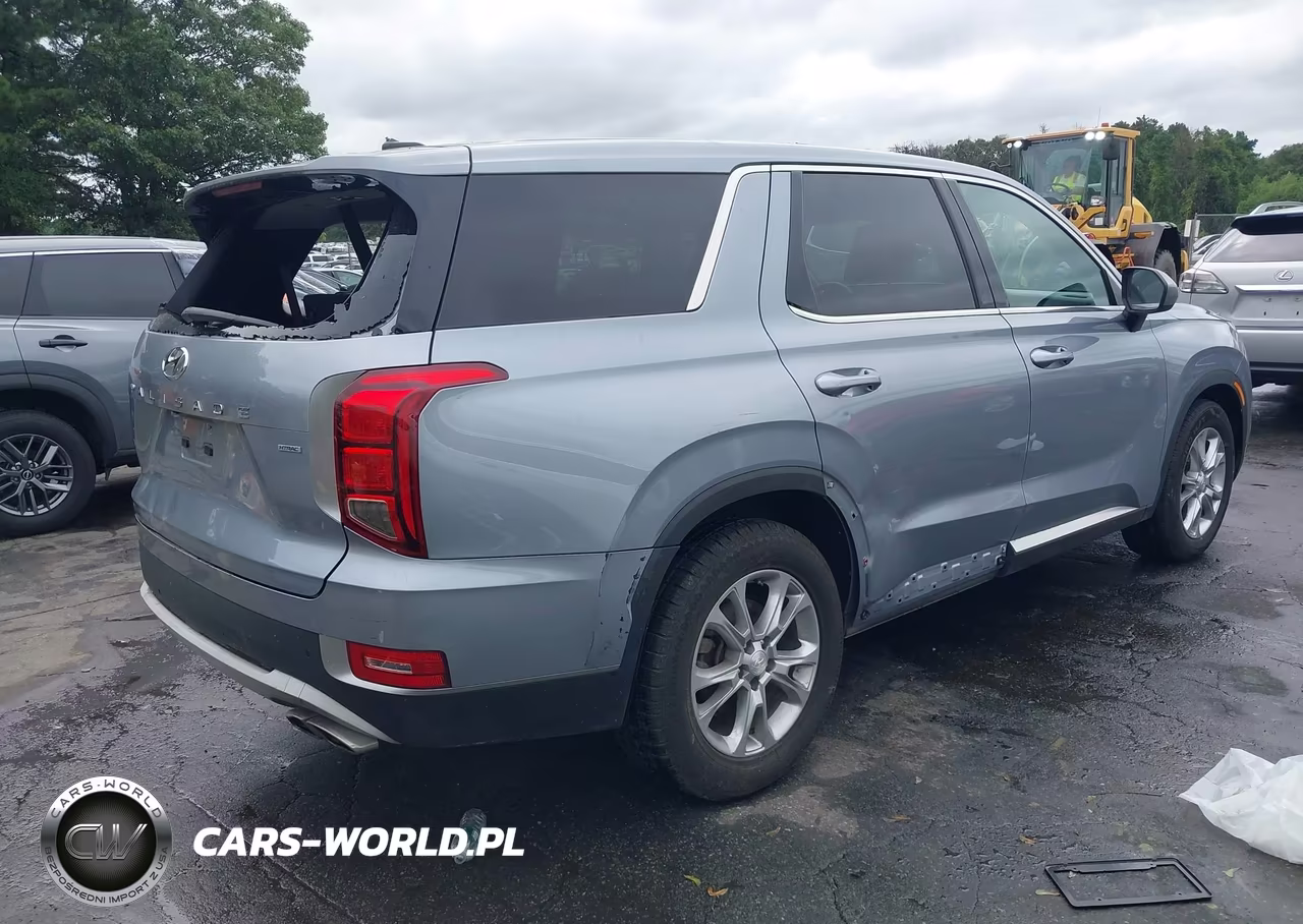 2020 Hyundai Palisade Se VIN:KM8R1DHE7LU054223 - 4