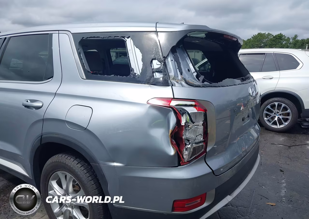 2020 Hyundai Palisade Se VIN:KM8R1DHE7LU054223 - 6