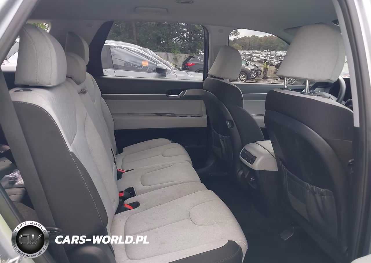 2020 Hyundai Palisade Se VIN:KM8R1DHE7LU054223 - 8