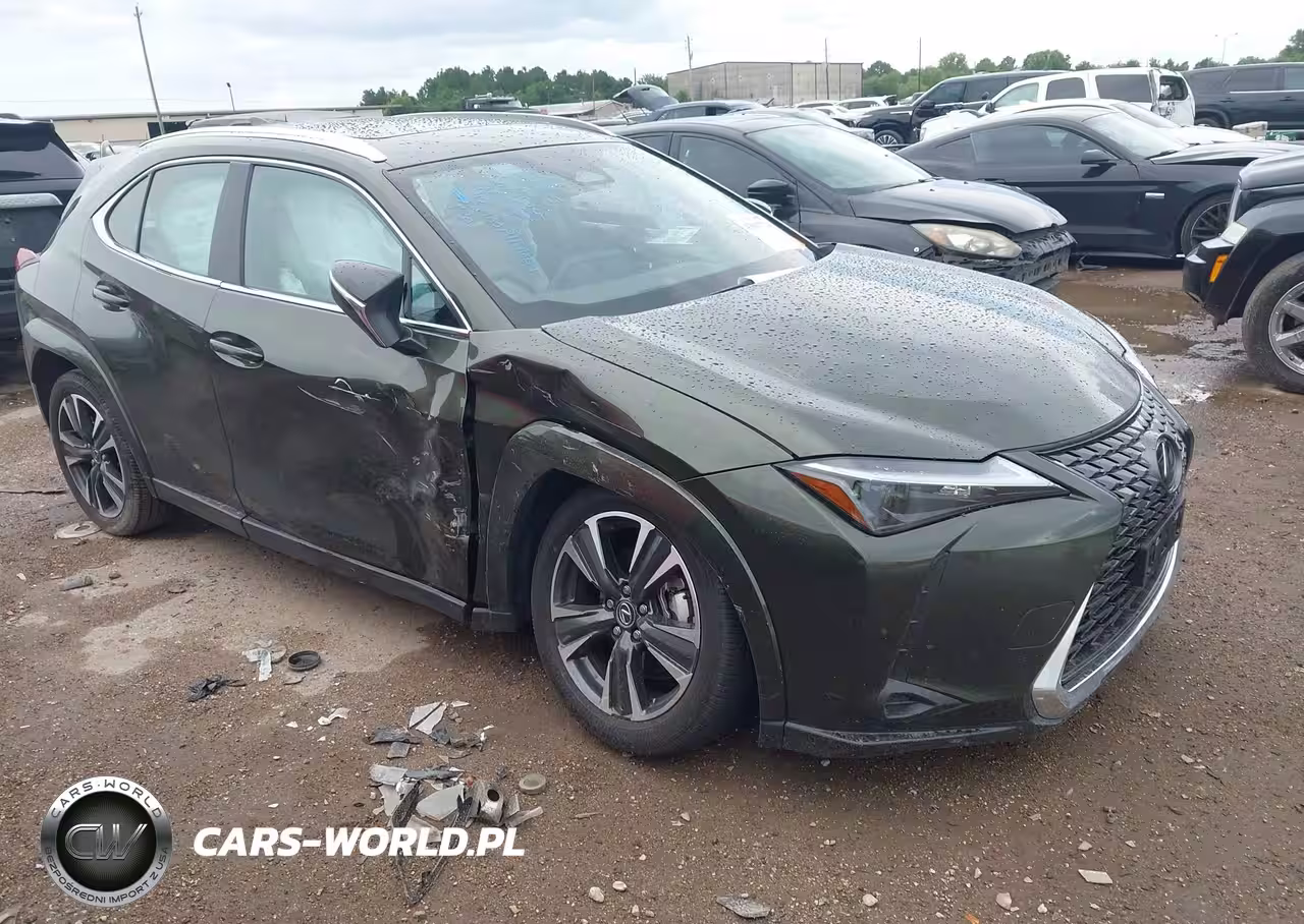 2025 Lexus Ux 300H Premium