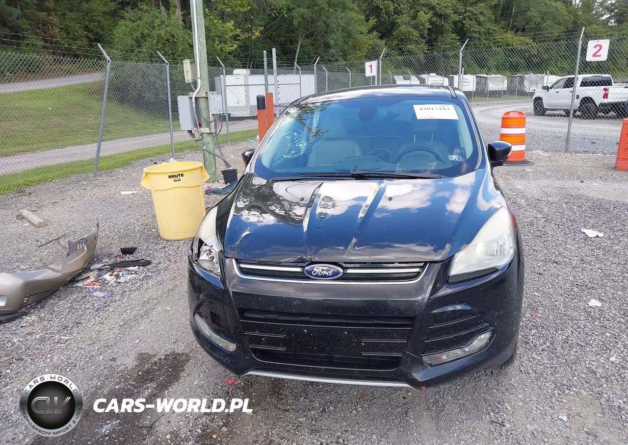2013 Ford Escape Sel VIN:1FMCU9HX2DUC30902 - 12