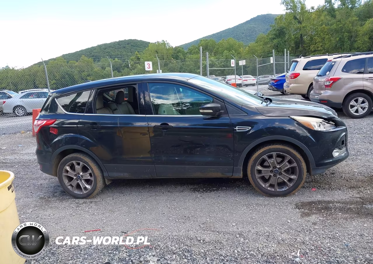 2013 Ford Escape Sel VIN:1FMCU9HX2DUC30902 - 13