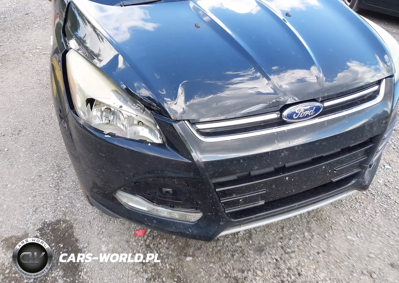 2013 Ford Escape Sel VIN:1FMCU9HX2DUC30902 - 18