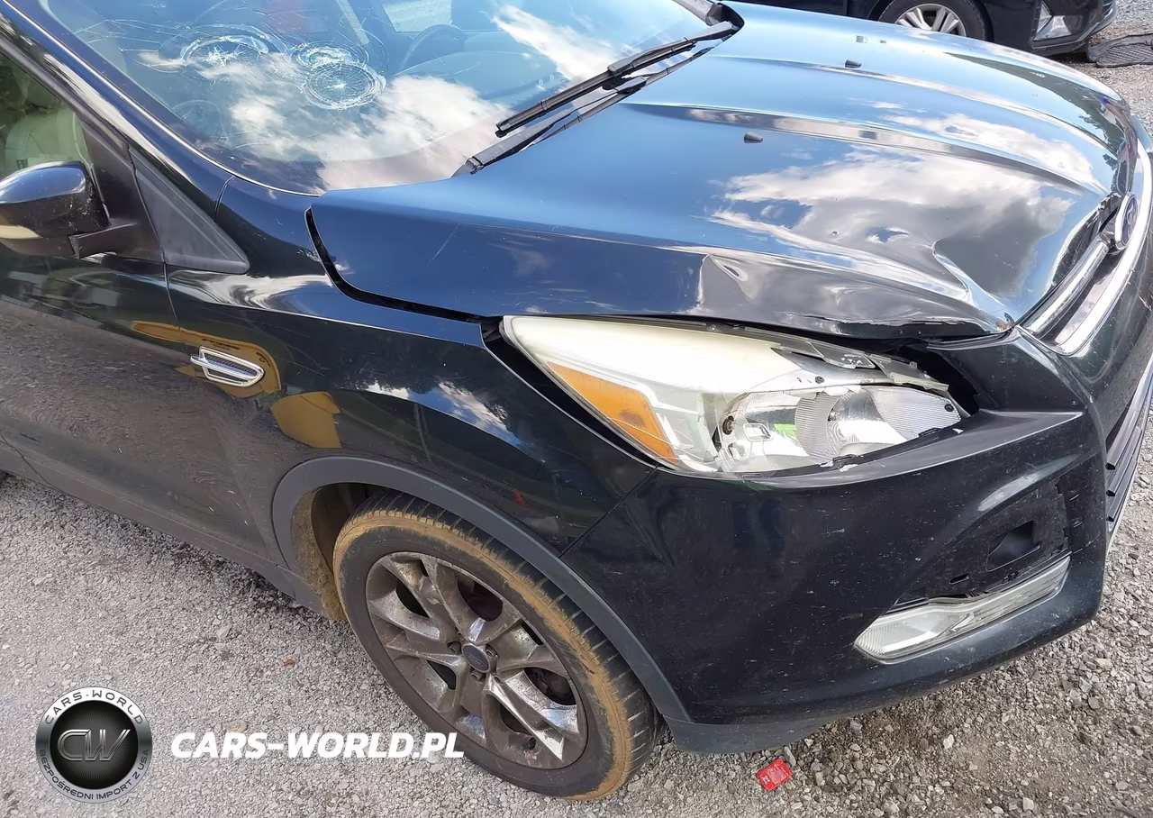 2013 Ford Escape Sel VIN:1FMCU9HX2DUC30902 - 19