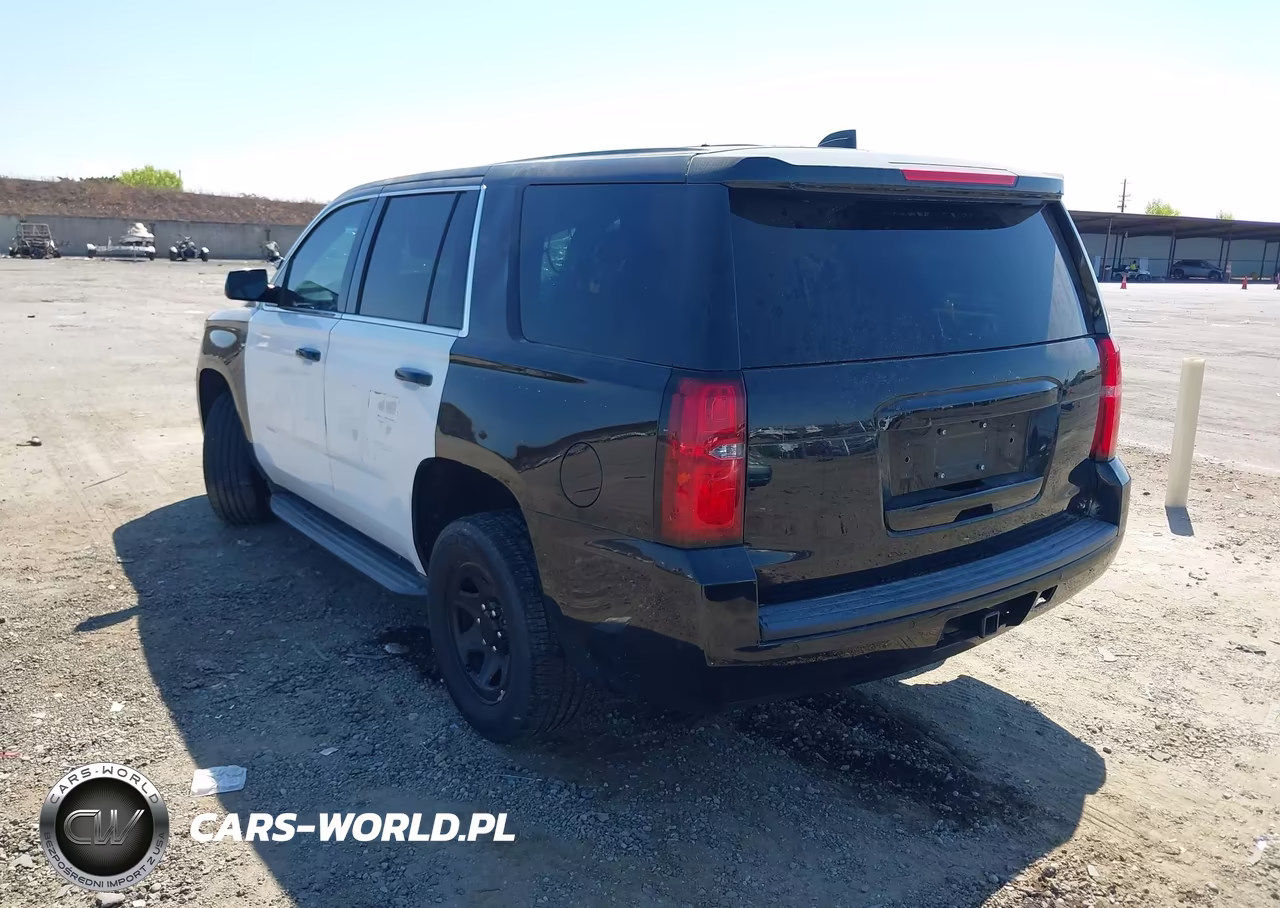 2019 Chevrolet Tahoe Commercial Fleet VIN:1GNLCDEC4KR150293 - 3
