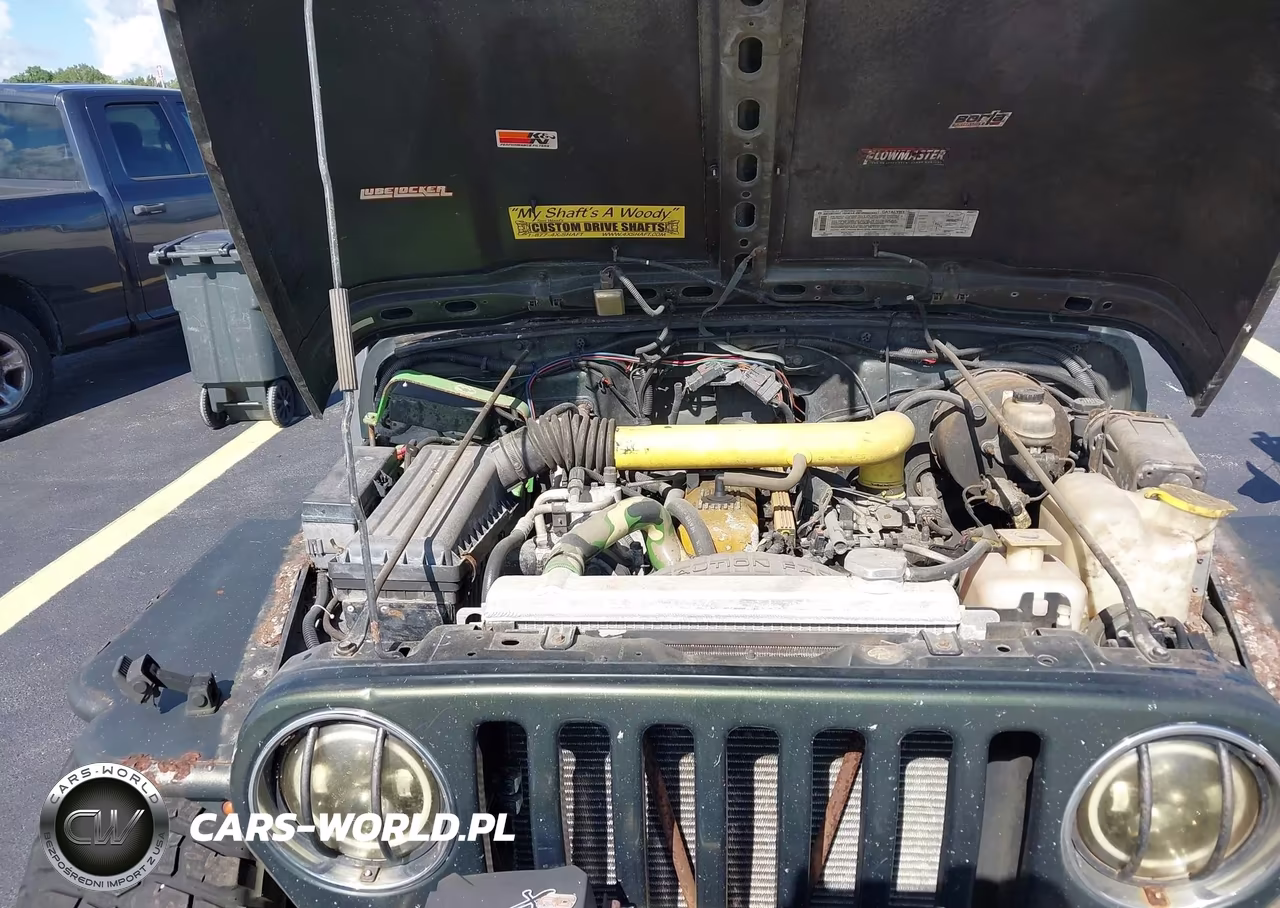 1998 Jeep Wrangler Sport VIN:1J4FY19S3WP755988 - 10