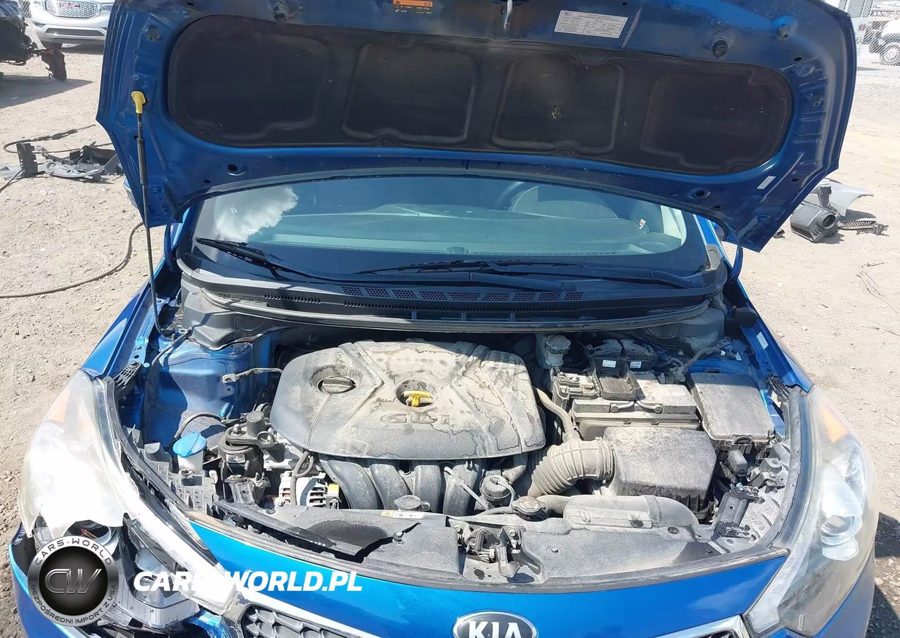 2014 Kia Forte Ex VIN:KNAFX4A89E5057063 - 10