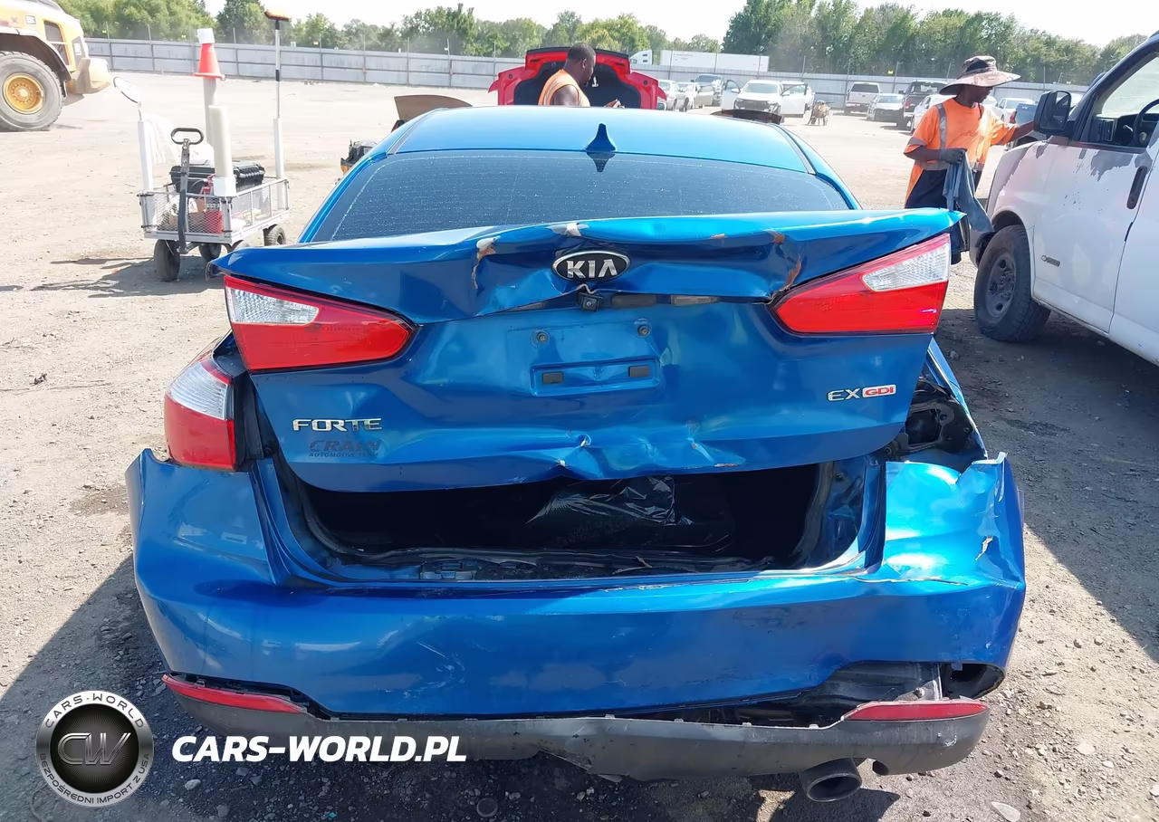 2014 Kia Forte Ex VIN:KNAFX4A89E5057063 - 17